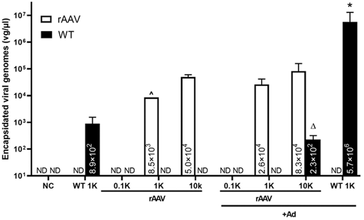 Figure 5.