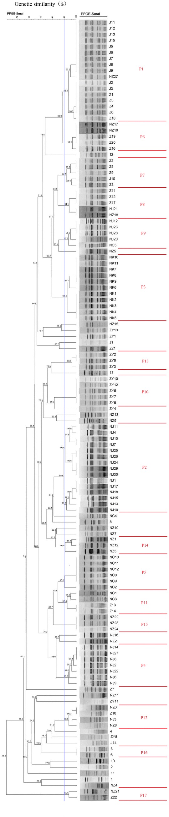 Fig. 3