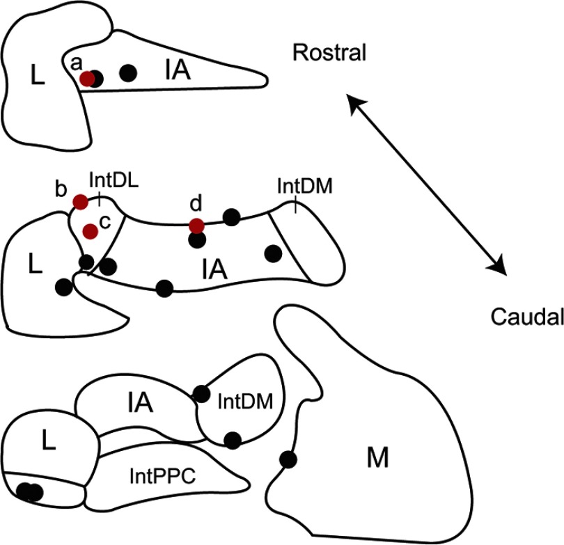 Figure 9.