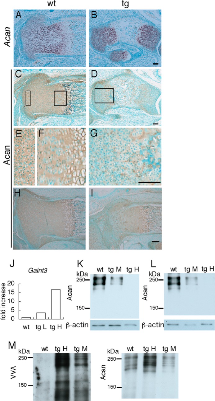 FIGURE 9.