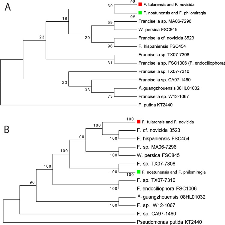 FIG 1