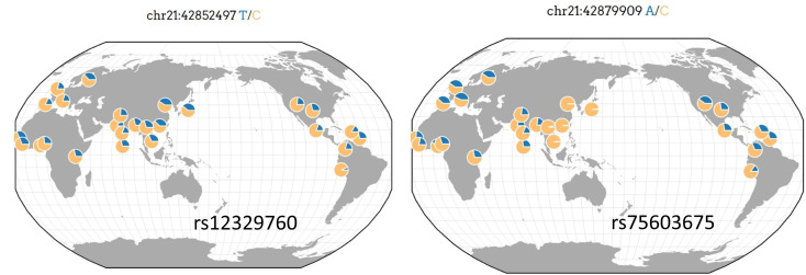 Figure 4