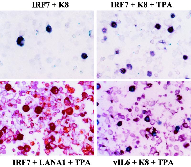 FIG. 9.