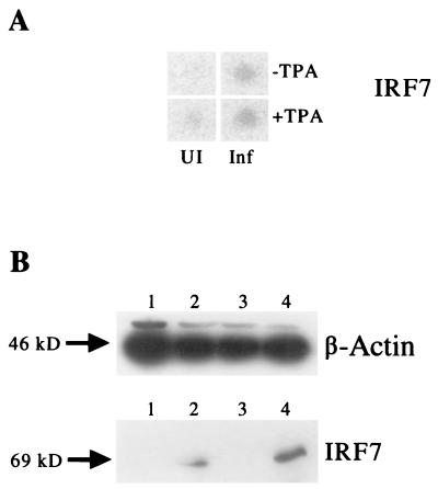 FIG. 8.