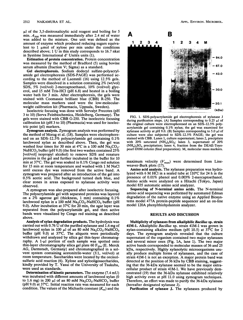 Purification and some properties of an alkaline xylanase from ...