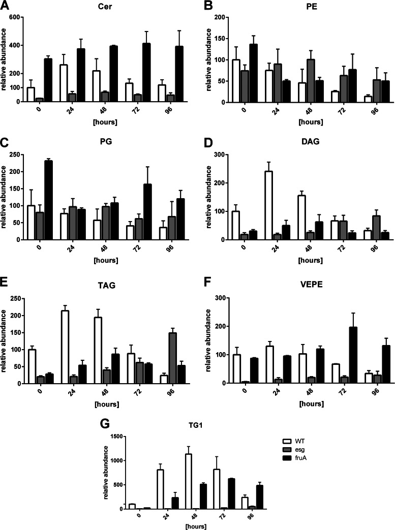 FIG 6