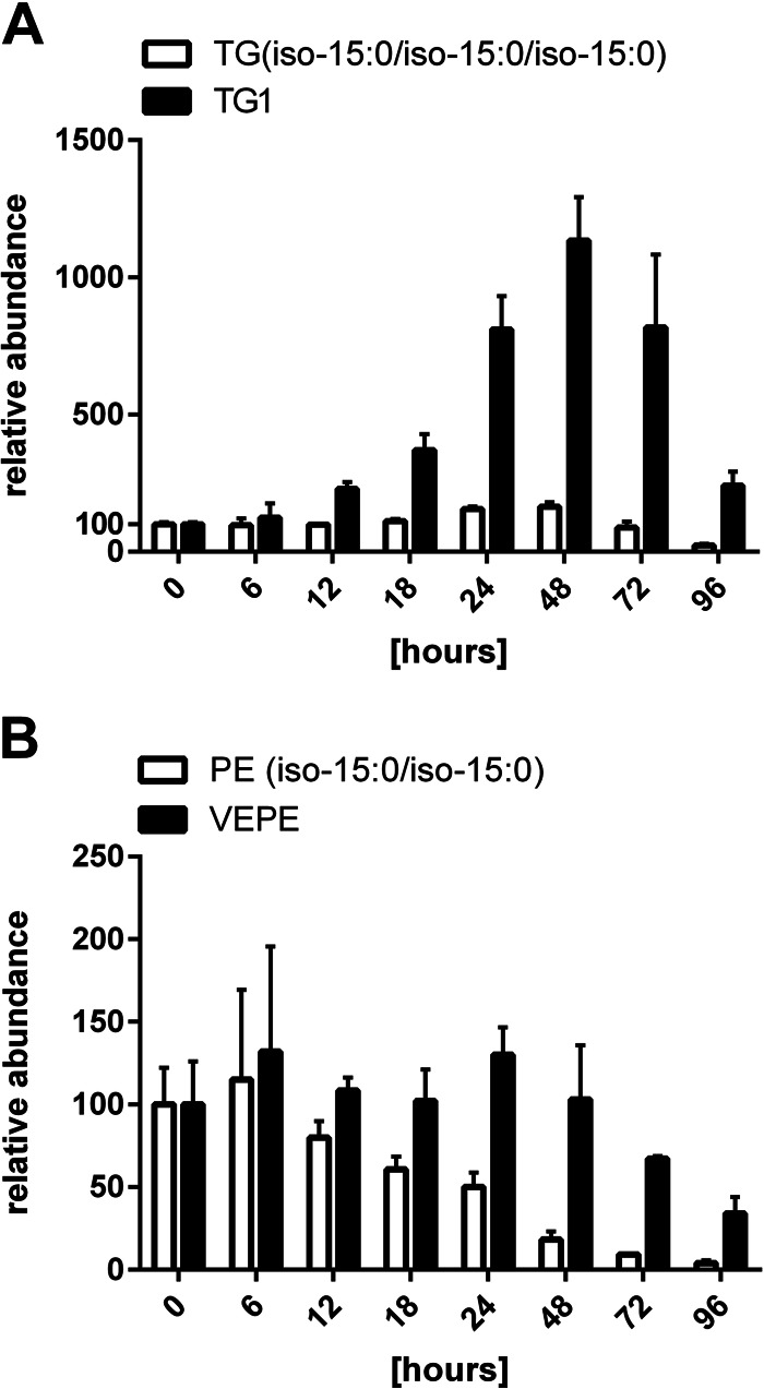 FIG 3