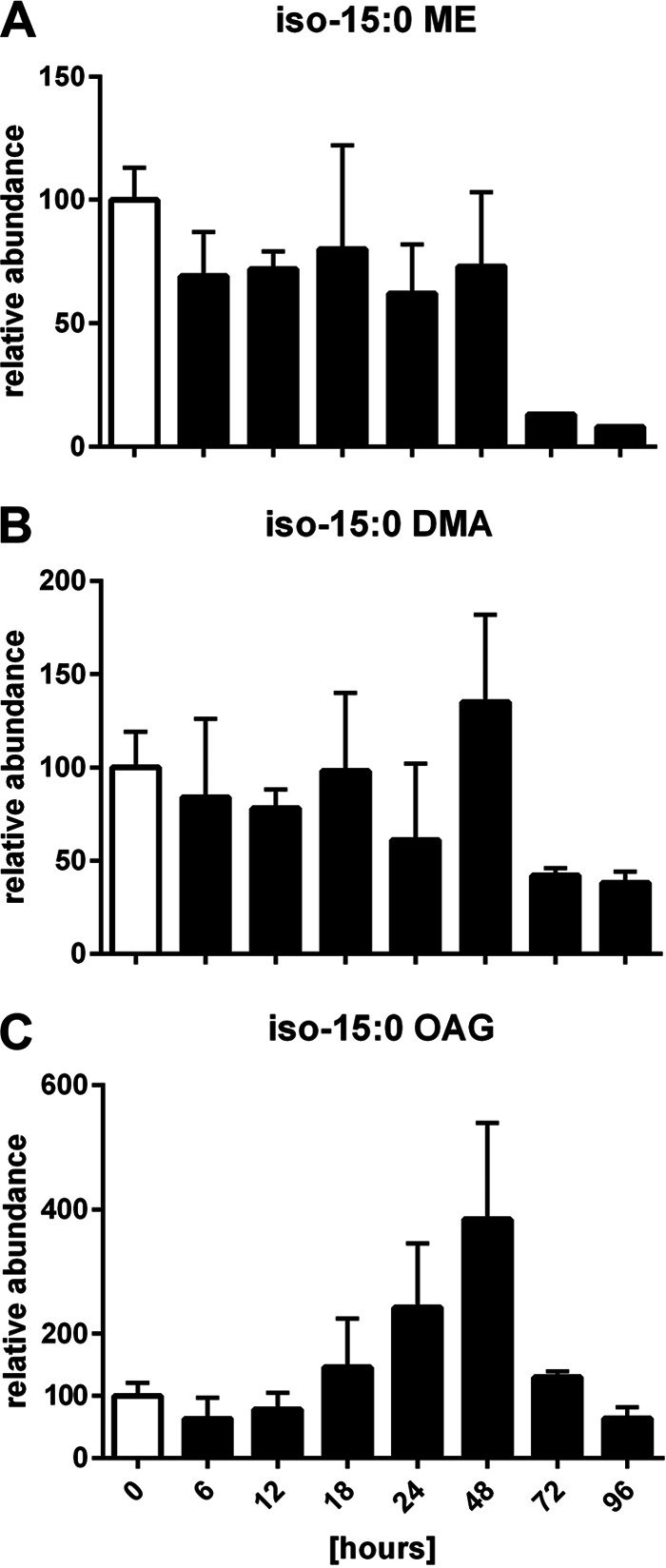 FIG 8