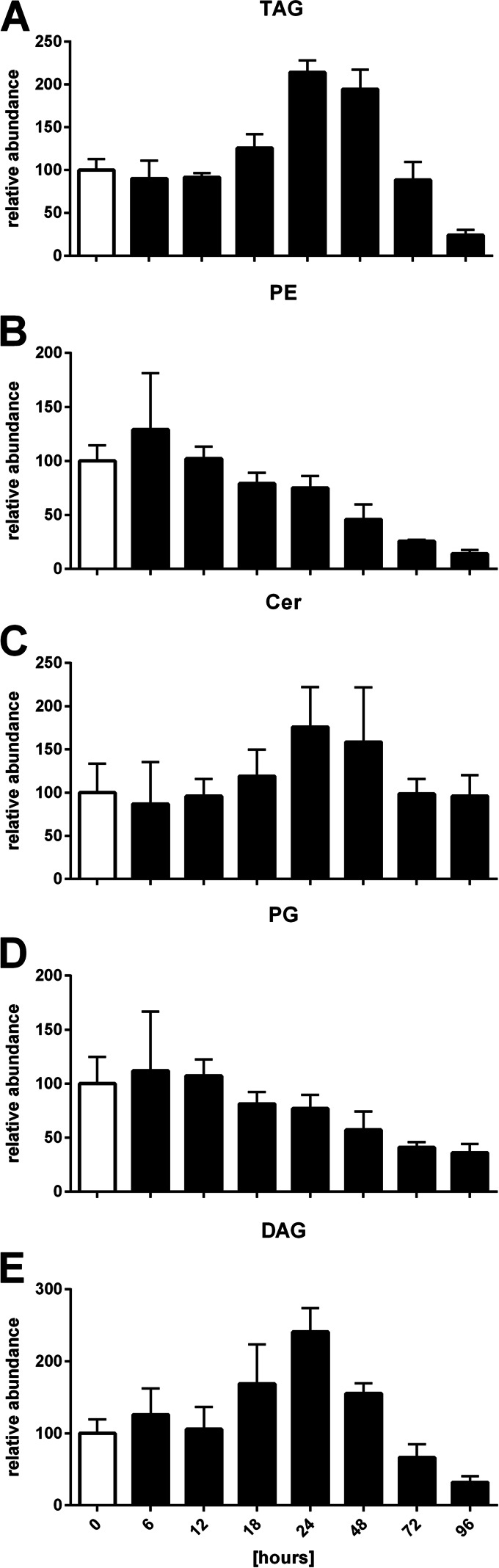 FIG 2