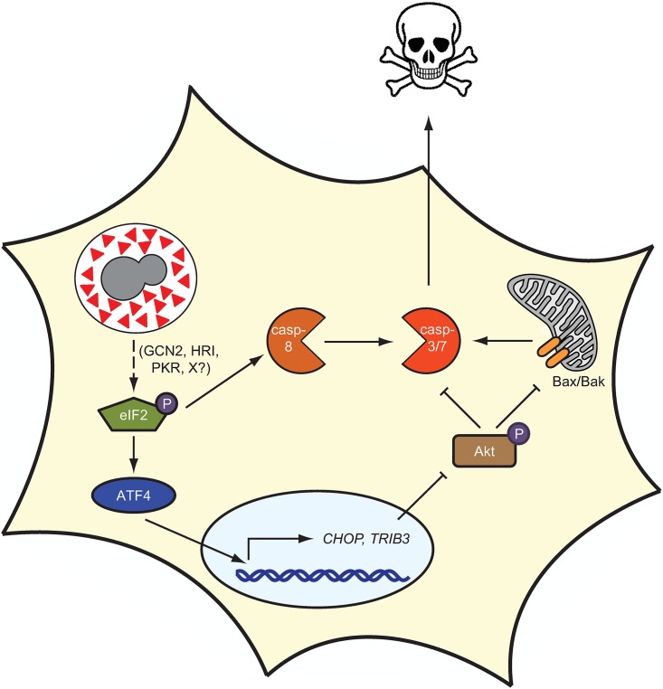 Fig 9