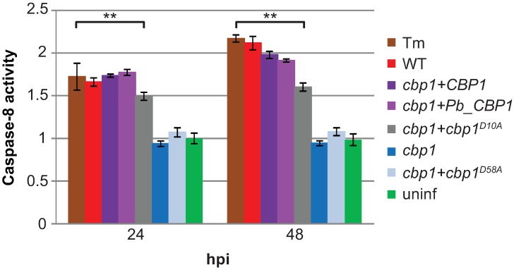 Fig 5