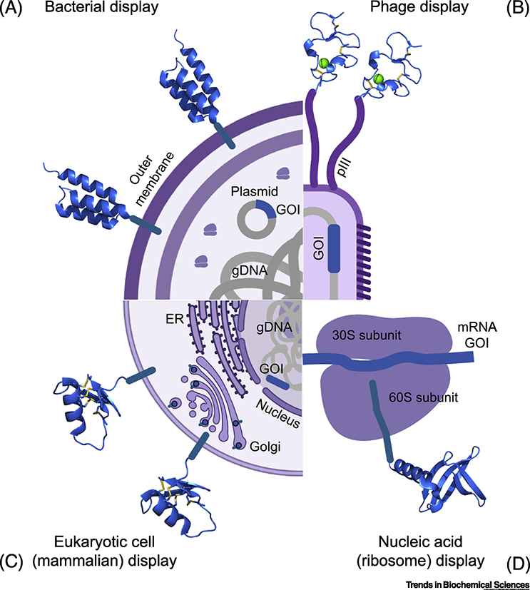 Figure 2.