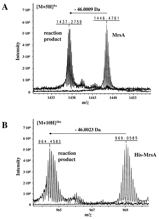 FIG. 6.