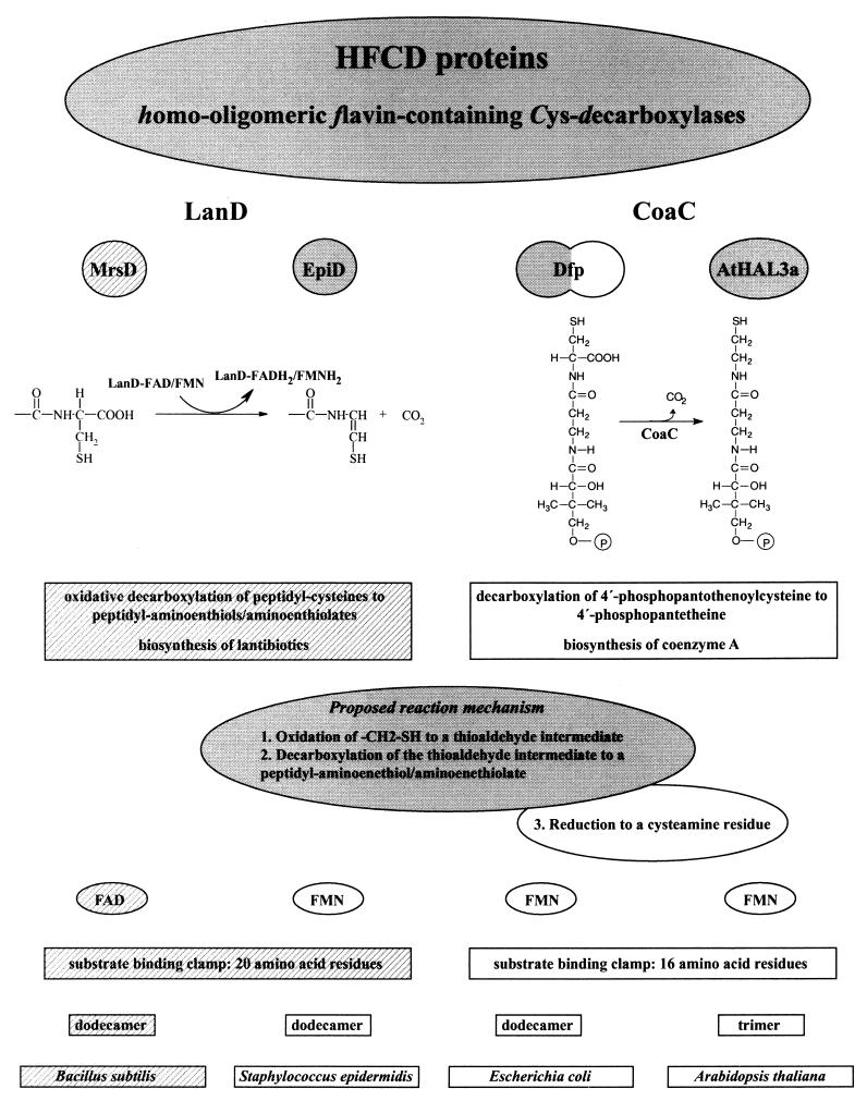 FIG. 7.