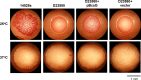 FIG 6
