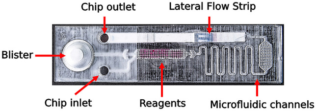 Fig.1