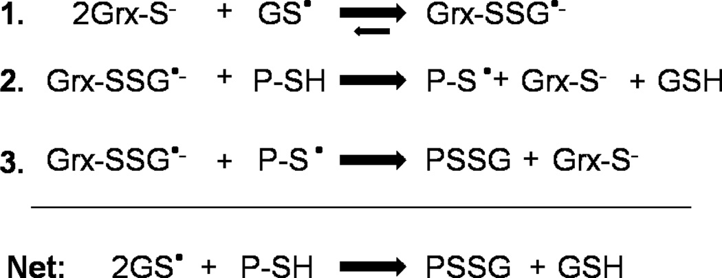 Scheme 3