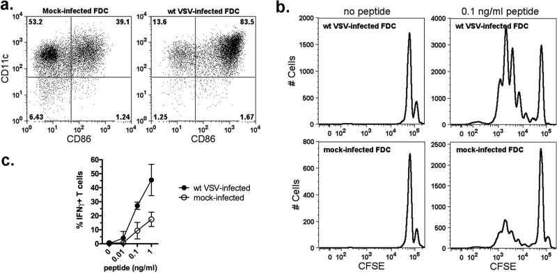 Fig 6