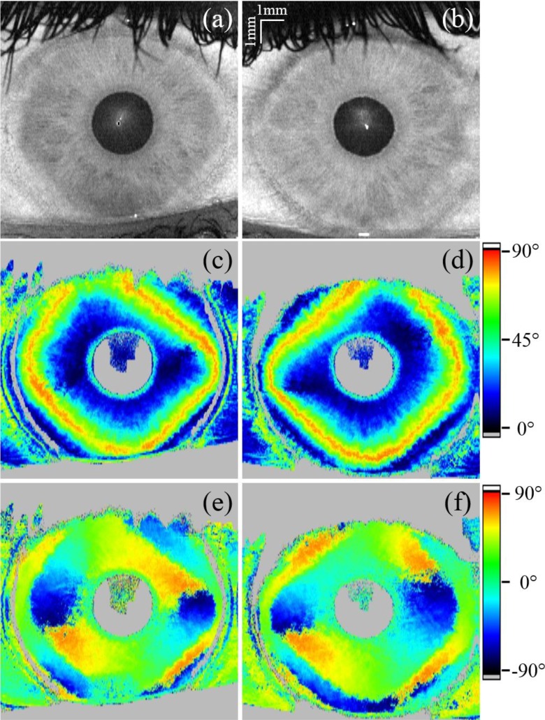 Fig. 9