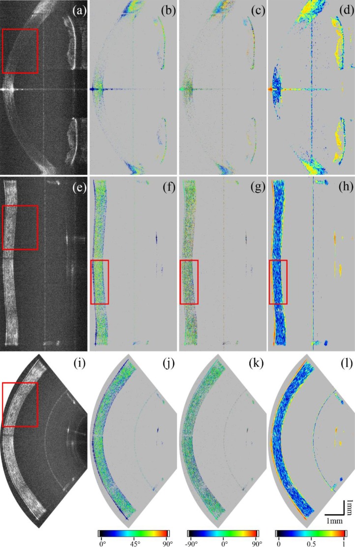 Fig. 7