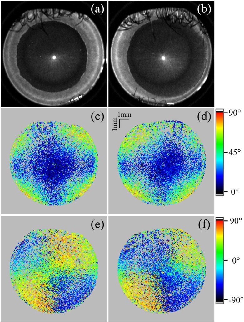 Fig. 11