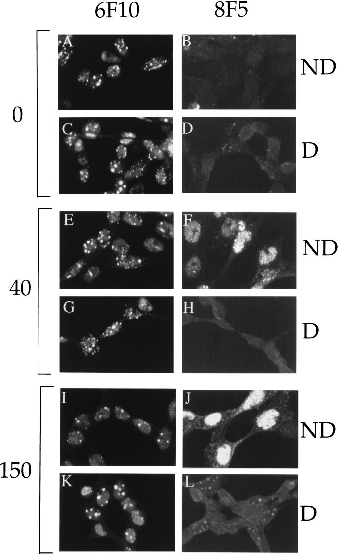 FIG. 6