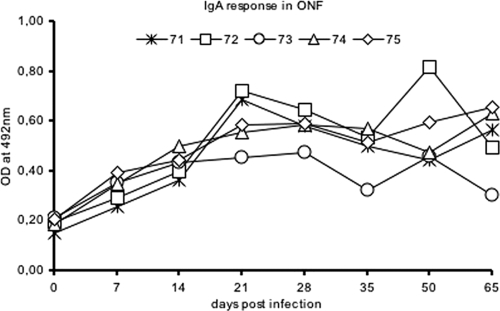 FIG. 2.