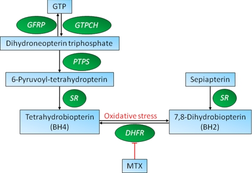 FIGURE 1.