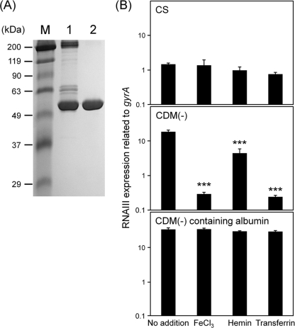 Fig. 9.