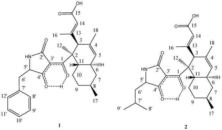 Figure 2