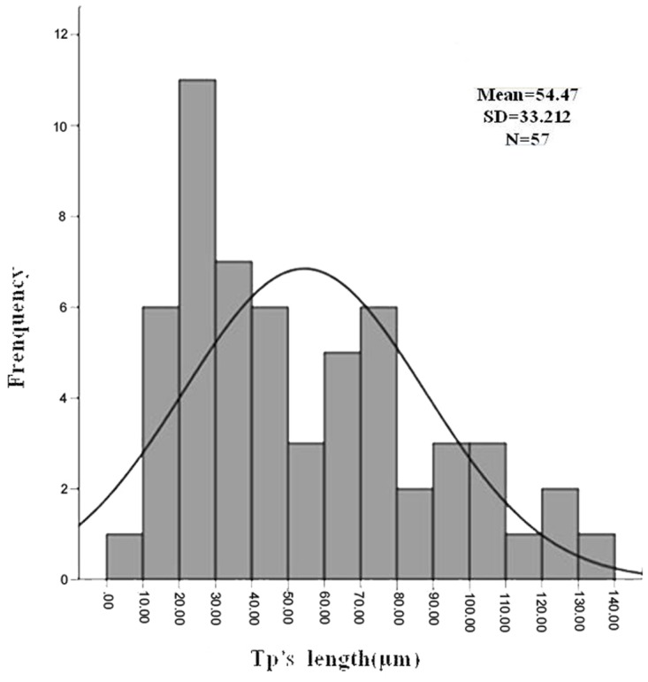 Fig 5