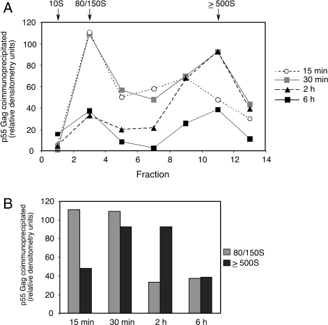 Figure 5: