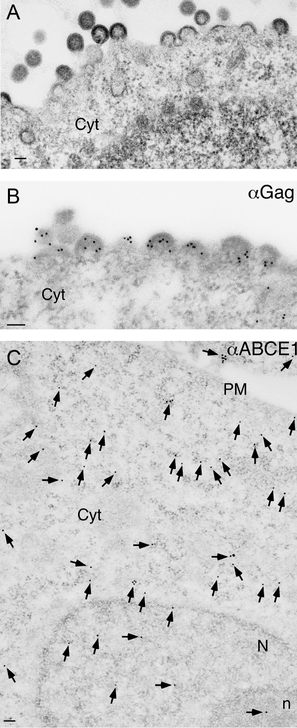 Figure 6: