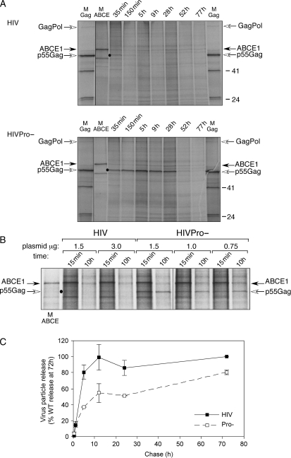 Figure 4: