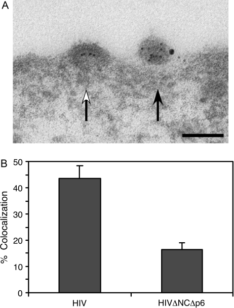 Figure 9: