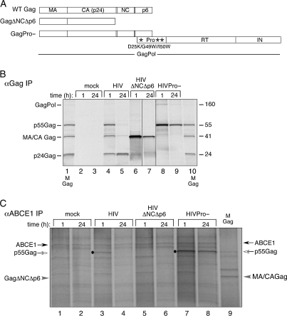 Figure 3: