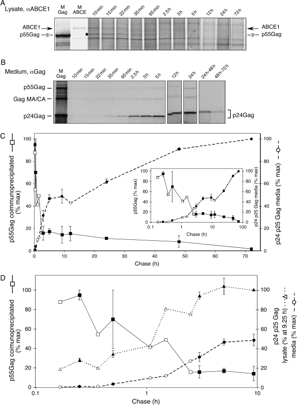 Figure 2: