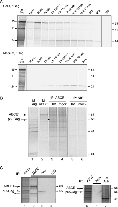 Figure 1: