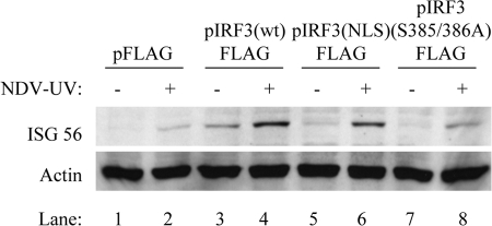 FIG. 6.