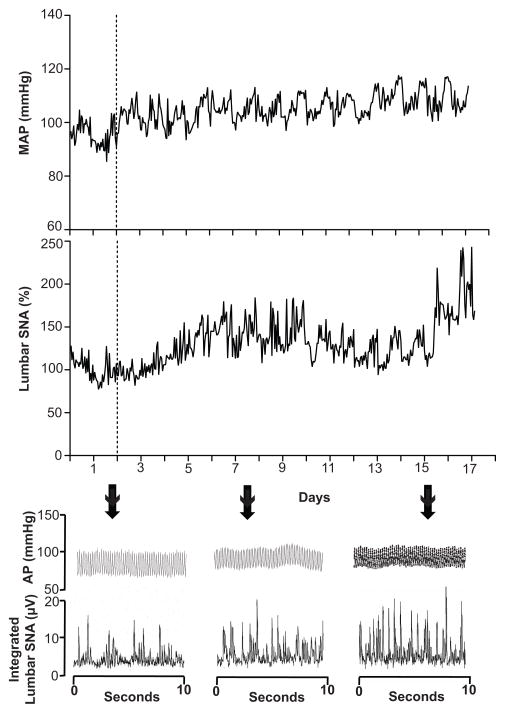 FIGURE 1