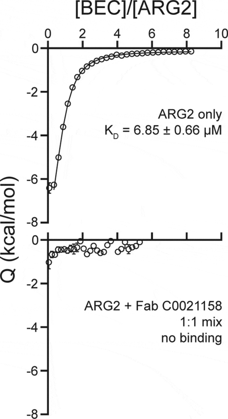 Figure 10.