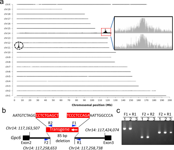 Fig. 3