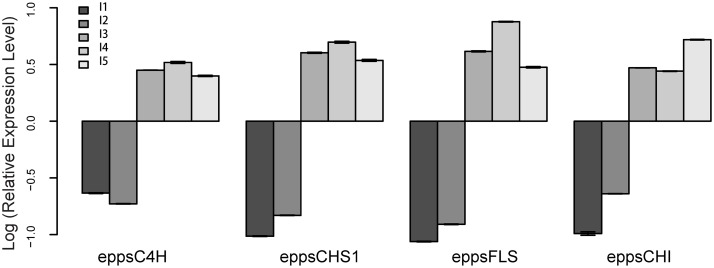 Fig 10