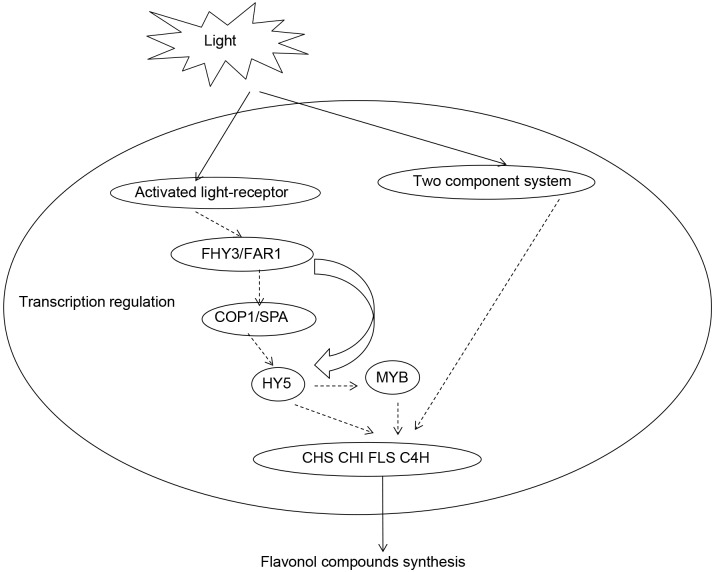 Fig 11