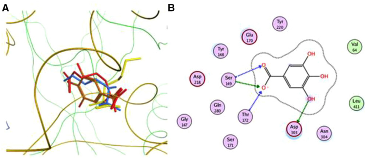 Figure 5.