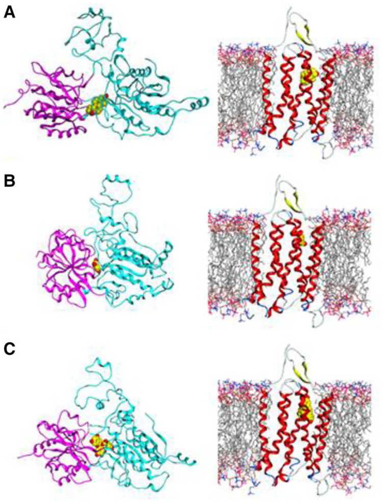 Figure 4.