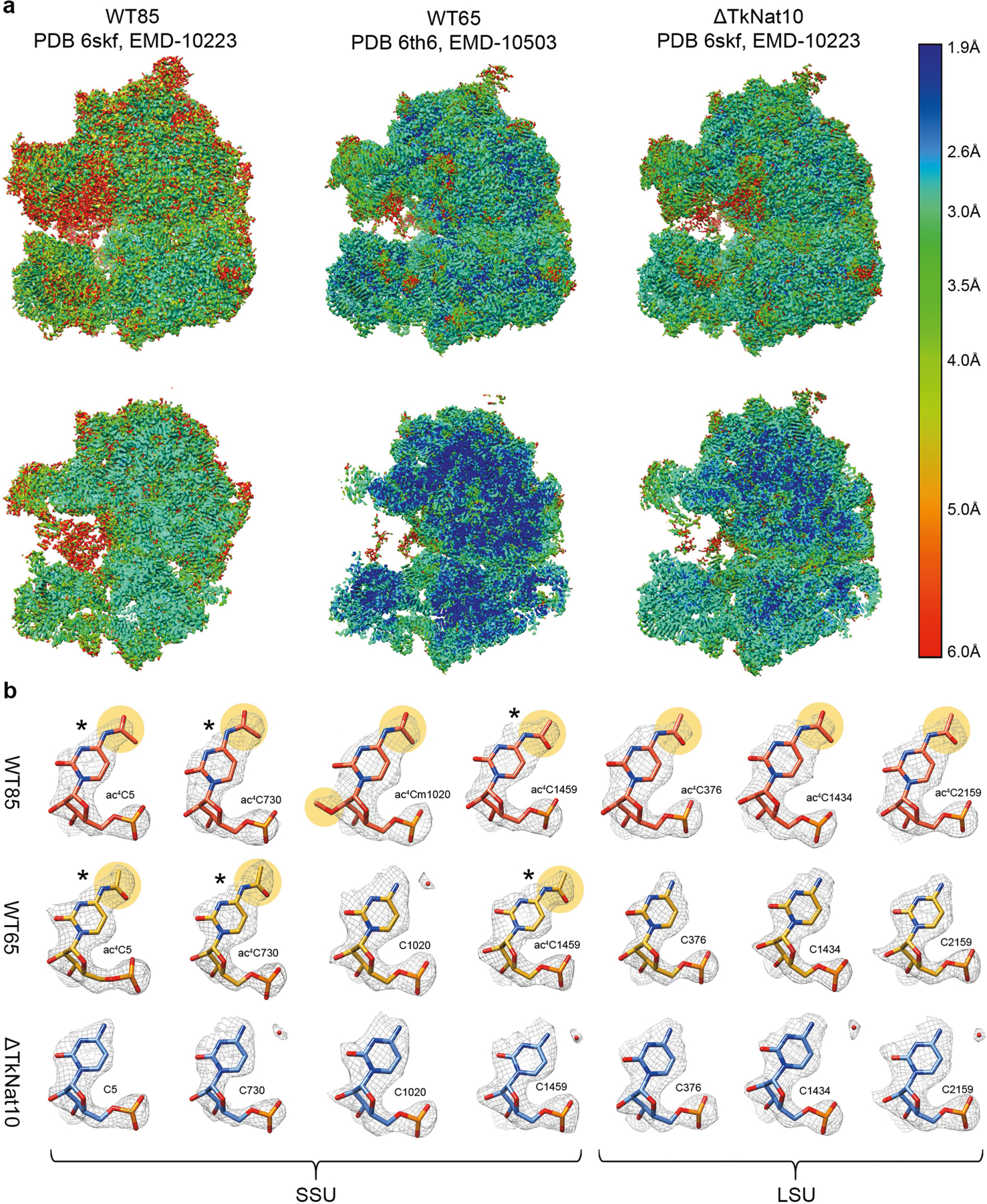 Extended Data Fig. 8 |