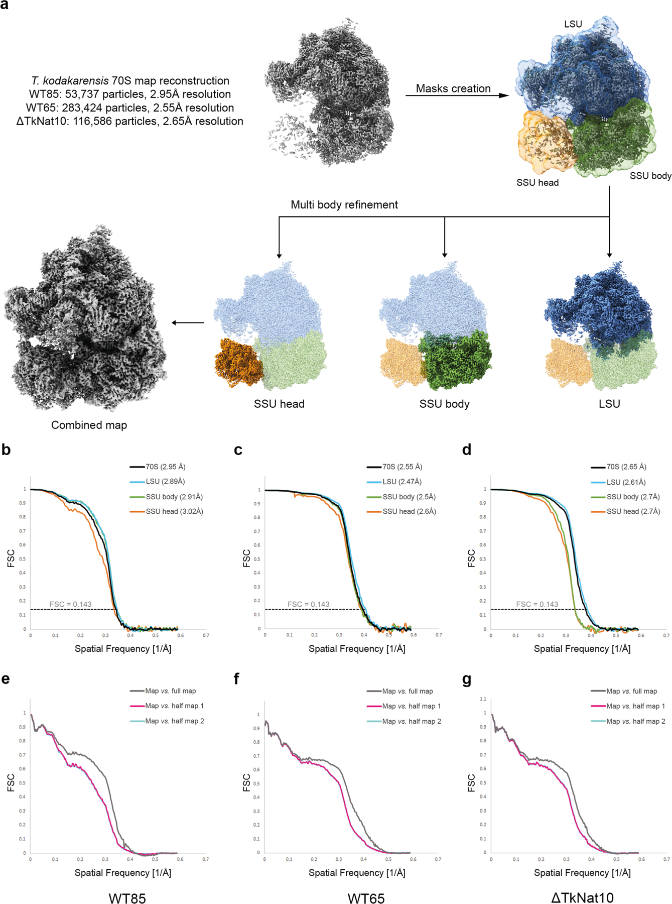 Extended Data Fig. 7 |