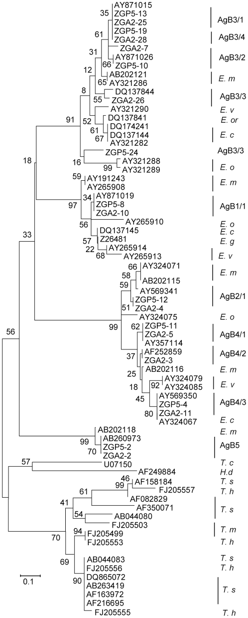 Figure 5