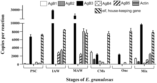 Figure 6